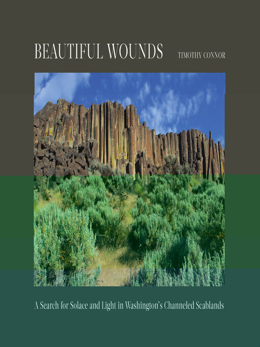 Title details for Beautiful Wounds by Timothy Connor - Available